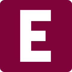 esanwebdesign.com icon