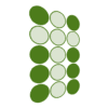 escuelabiblicaenlinea.org icon