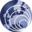 esiweb.org icon