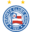 esporteclubebahia.com.br icon