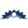 essencehealthcare.com icon