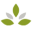 ethno-health.com icon