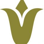 eugenemasoniccemetery.org icon