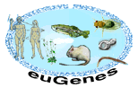 eugenes.org icon