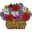 eugenesaturdaymarket.org icon