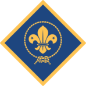 europeanscoutfoundation.com icon