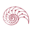 eva-angelina.net icon