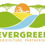 evergreenagriculture.net icon