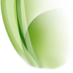 everris.com icon