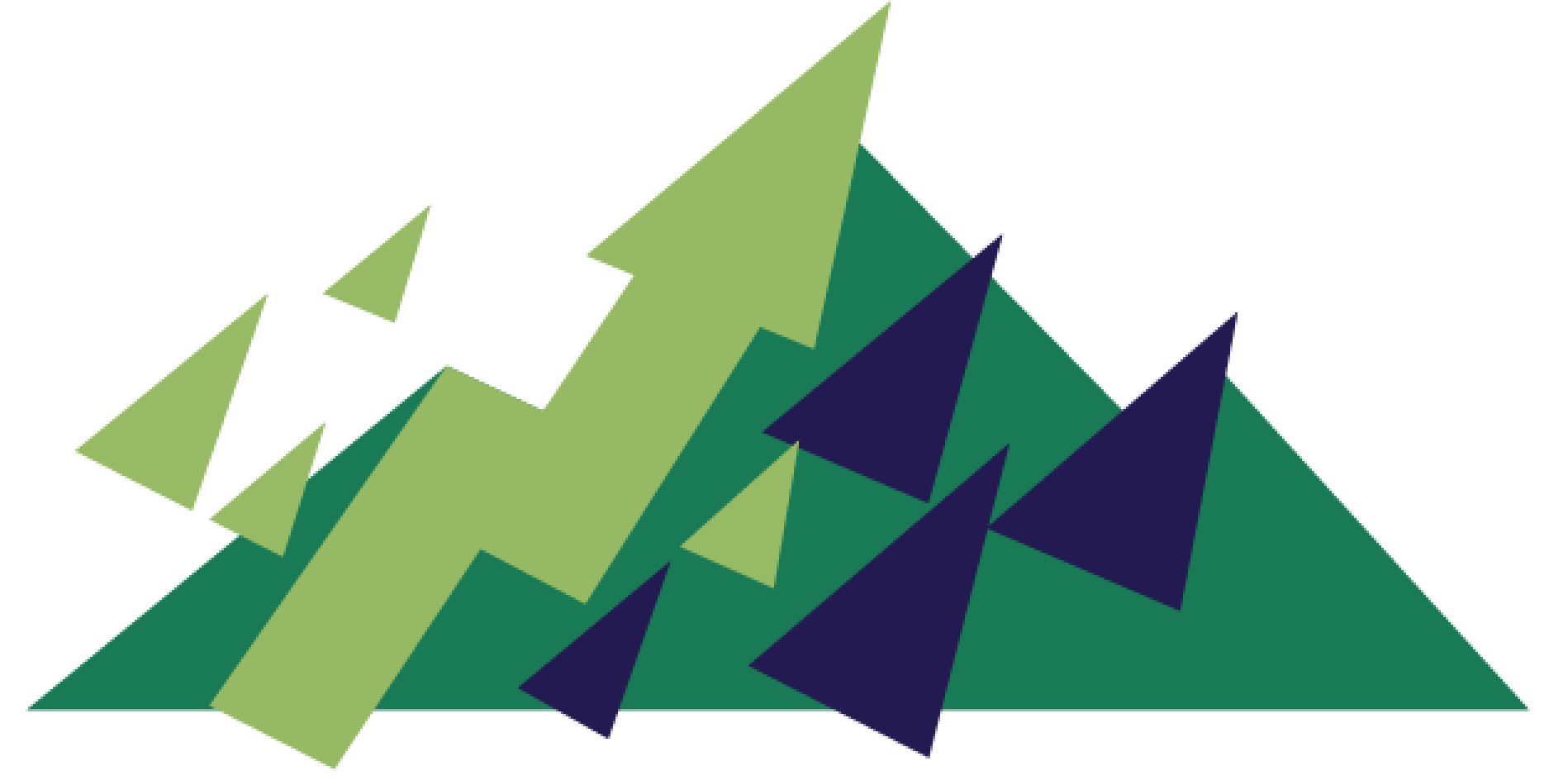 everset.it icon