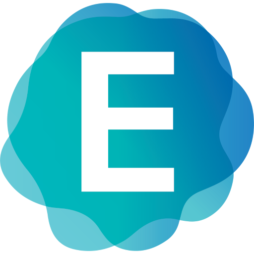 everve.net icon