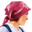 everwilde.com icon