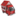 evigetir.com logo