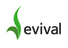 evival.net icon