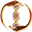 evogenlab.ru icon
