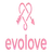evoloveindia.co.in icon