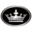 evolutionelectricvehicle.com icon