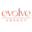evolve.com.co icon