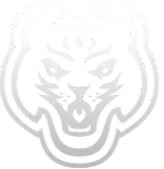 evoxsys.net icon
