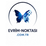 evrim-noktasi.com.tr icon