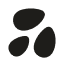 evvolve.io icon