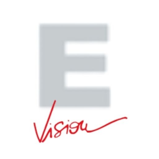 excel-vision.com icon