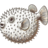 exe.xyz icon
