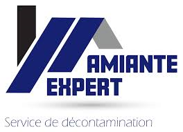 expert-desamiantage.fr icon
