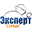 expertise-kolomna.ru icon