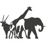 explore-africa-travel.com icon