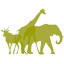 explore-botswana.com icon