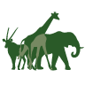 explore-malawi.com icon