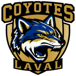 expresslaval.com icon