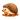 extensionfile.org icon