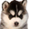 extrawod.com icon