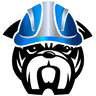 extremedogfence.com icon