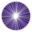 eyewiki.org icon