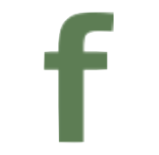 fabrinet.com logo