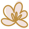 fabulousflowers.co.za icon
