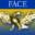 face.net icon