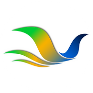 faculdadebrasiliana.edu.br logo