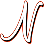 fahrschule-niemeyer.de icon