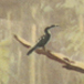 faitiche.de icon
