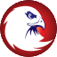 Falcon Institute of Health and Science official logo