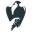 falconry.org icon