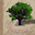 familienstammbaum.net icon