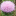 familyspencer.com icon