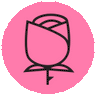 famousroses.eu icon