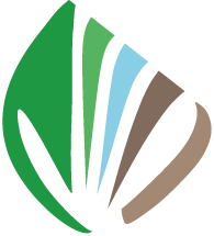 fancampoyvida.com.mx icon