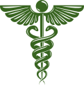 farmaciasanrocco.com icon
